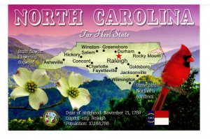 NC - North Carolina Map & Highlights   (continental size)