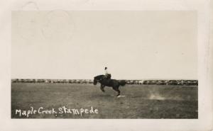 Maple Creek Saskatchewan SK Stampede Rodeo Cowboy c1930 Real Photo Postcard D8