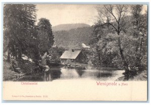 c1905 Christianental Wernigerode am Harz Germany Antique Unposted Postcard