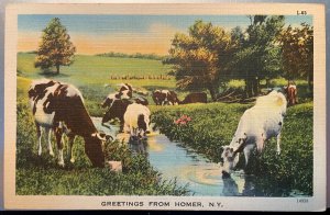 Vintage Postcard 1930-1945 Greetings from Homer, New York (NY)