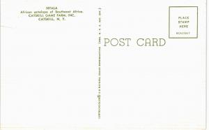 Catskill Game Farm Nyala 1960  NY 