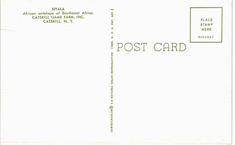 Catskill Game Farm Nyala 1960  NY 