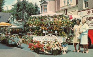 Vintage Postcard Flower Mart Main Street Natural Flowers by Nature Disneyland