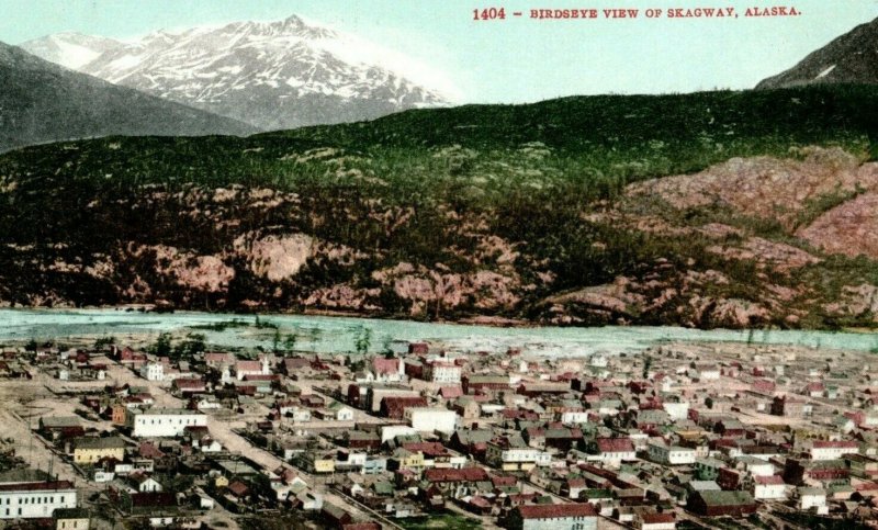 c. 1910 Birds Eye View Of Skagway Alaska Postcard P14 