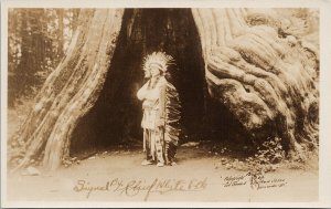 Chief White Elk at Big Hollow Tree Vancouver BC Signed RPPC Postcard G14