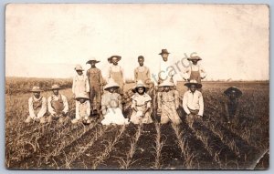 K48/ Interesting RPPC Postcard c1910 Black Americana Weed Pickers Color 122
