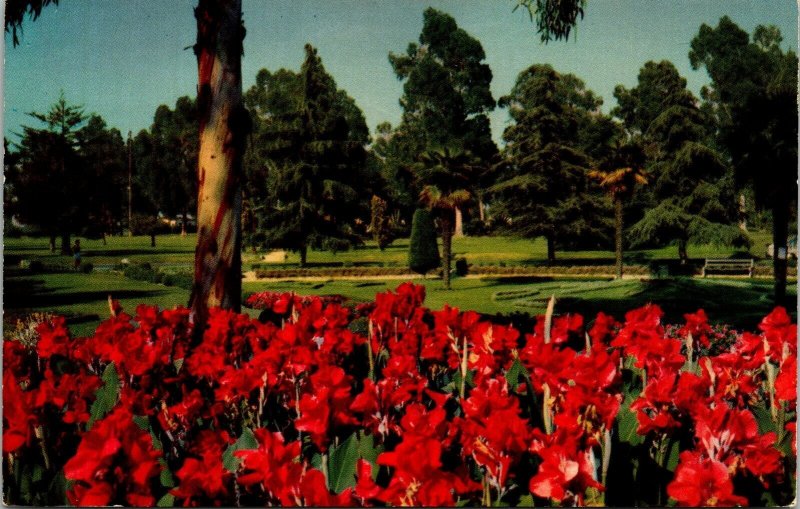 Recreation Park Long Beach CA California VTG Postcard UNP Unused Vintage Mirro 