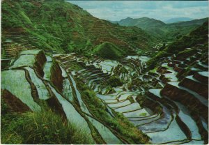 PC PHILIPPINES, THE RICE TERRACES OF THE PHILIPPINES, Modern Postcard (B40283)