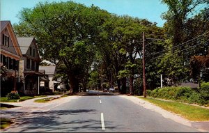 Massachusetts Cape Cod Old Elms On A Cape Cod Village Street