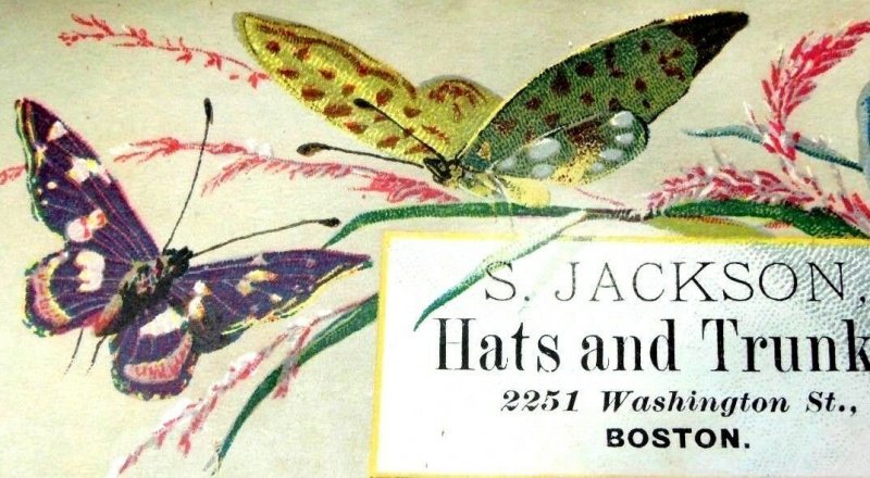 Fabulous Butterflies Insects Wildflowers S. Jackson Hats & Trunks Trade Card Y2