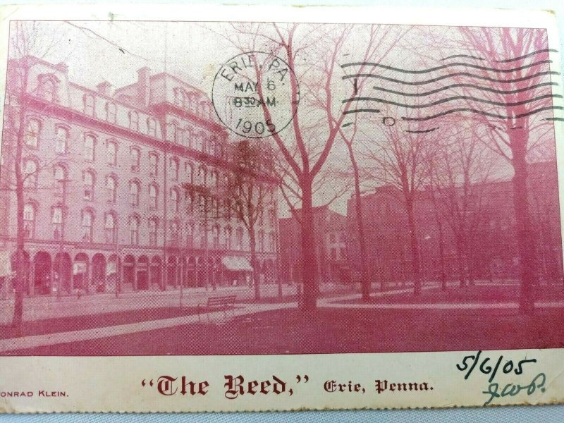 Vintage Postcard The Reed Hotel Erie PA Pennsylvania Conrad Klein Posted 1905