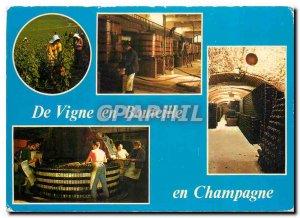 Modern Postcard From Vine bottle Harvest Le Pressoir The interior cellars