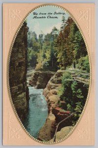New York~Up From The Gallery Ausable Chasm Oval Scene~Embossed~Vintage Postcard