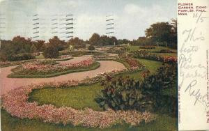 Flower Garden Como Park St Paul Minnesota 1909 Postcard Hammon 4494