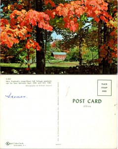 New England Fall Foliage (11453)