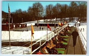 The Homestead HOT SPRINGS Virginia Ice Skating Rink & Sun Deck USA Postcard