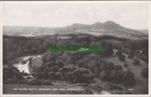 Scotland Postcard - Bemersyde Hill, Sir Walter Scott's Favourite View DC2594