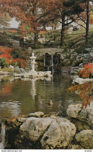 TORONTO , Ontario , ,Canada ,1950-6-s; Flower Garden In High Park