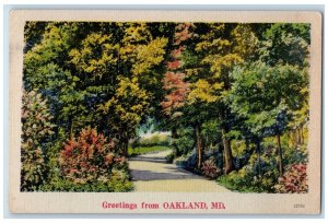c1940's Greetings From Oakland Trees Scene Maryland MD Unposted Vintage Postcard