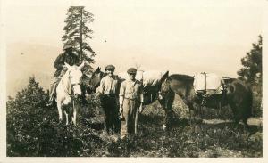 Back County Outdoor Life Camping Horse Pack Mules C-1910 RPPC real photo 541