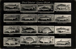 Fresh Water Game Fish Identification Chart Fishing Real Photo Postcard