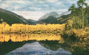 Sheep Lake Attraction Rocky Mountain National Park Colorado CO Vintage Postcard