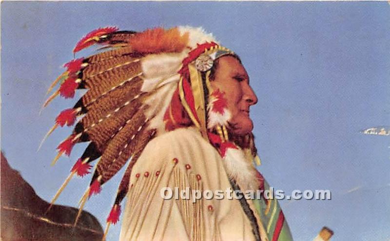 Meet Chief Tiebow Craterville, Park, Oklahoma, OK, USA Indian Unused 