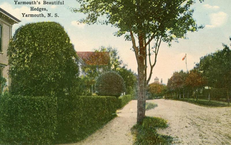 Canada - Nova Scotia, Yarmouth. Beautiful Hedges