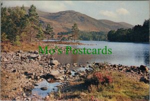 Scotland Postcard - Loch-an-Eilean, Aviemore, Inverness-shire RR10976