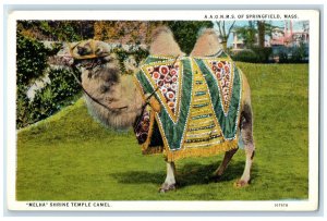 c1940's AAONMS Of Springfield Massachusetts Melha Shrine Temple Camel Postcard