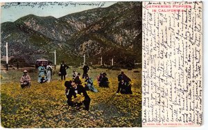 14001 Gathering Poppies at the End of the Trolley Line, Pasadena, 1915