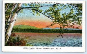 Greetings from COXSACKIE, New York NY ~ CATSKILLS Greene County c1920s  Postcard