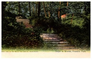 Massachusetts  Boston  steps in Woods  Franklin park