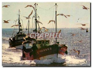 Postcard Modern Colors of Brittany fishing Back