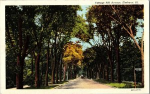 Cottage Hill Avenue Elmhurst Ill Street Vintage Divided Back Postcard UNP Vtg