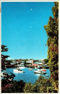 Fishing Pleasure Boats Gloucester Harbor Rocky Neck Massachusetts Postcard