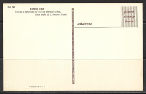 Florida - Brahma Bull - [FL- 482]