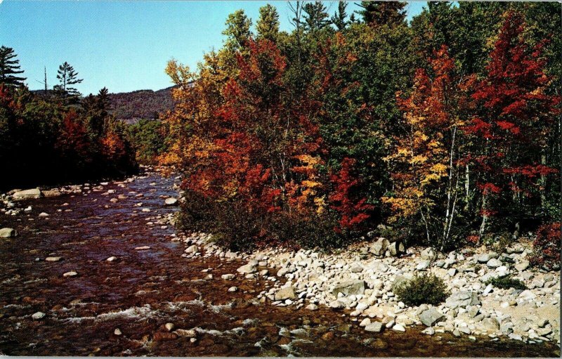 Switft River Thomas Peters Lake Brown Route 5 Wisconsin Vintage Postcard UNP Vtg 