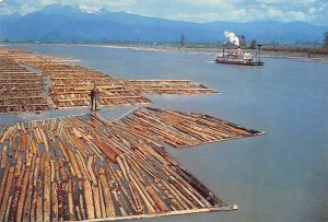 Paddle Steamer and Log Booms Pitt Meadows, British Columbia Unused 