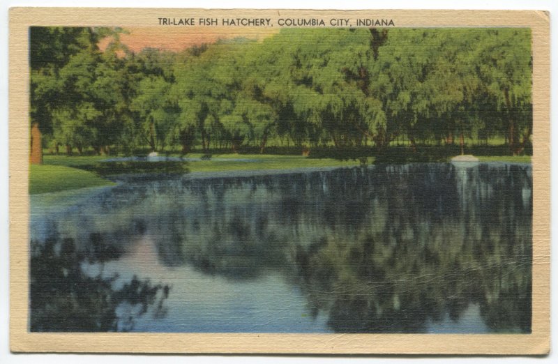 Tri-Lake Fish Hatchery, Columbia City, Indiana. MWM Color -Litho postcard