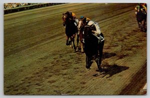 Horse Racetrack Big A Aqueduct Long Island To The Finish Line Postcard D25