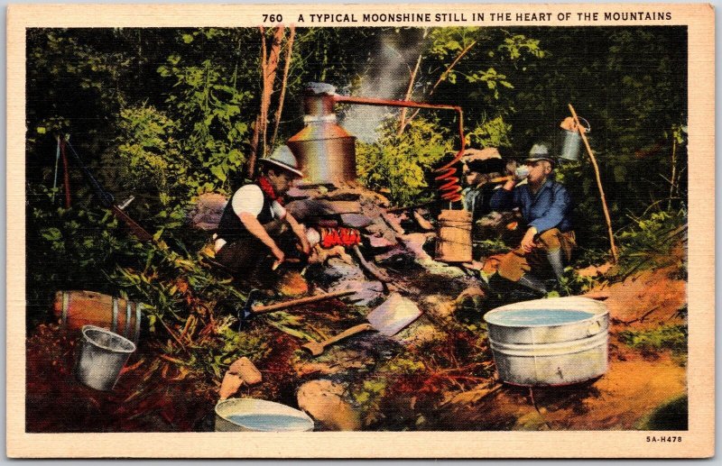 North Carolina, A Typical Moonshine Still in the Heart of Mountains, Postcard