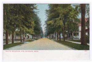 S Weadock Avenue Saginaw Michigan 1910c postcard