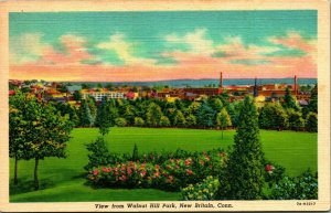 View From Walnut Hill New Britain Connecticut CT UNP  Linen Postcard