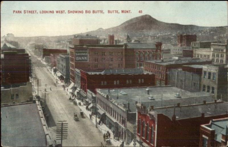 Butte MT Park St. Birdseye View c1910 Postcard