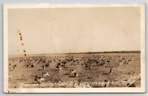 RPPC Western Kansas Rabbit Drive The Biggest Kill Potter Real Photo Postcard I35