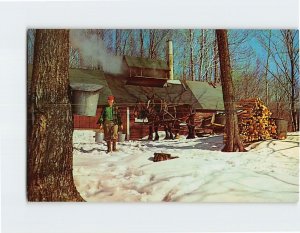 Postcard Maple Sugar time in Vermont