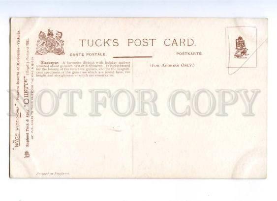 173202 AUSTRALIA Melbourne Blackspur Vintage TUCK postcard