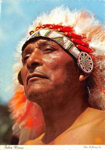Indian Warrior - 
