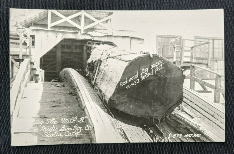 Mint Vintage Pacific Lumber Co Scotia California Real Photo Postcard RPPC